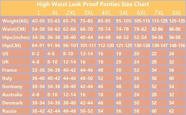 SeniorBra® High Waist Leak Proof Panties black sale